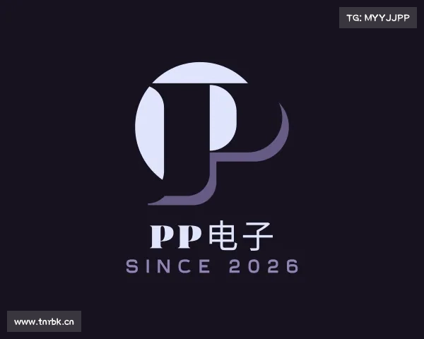 发现pp电子